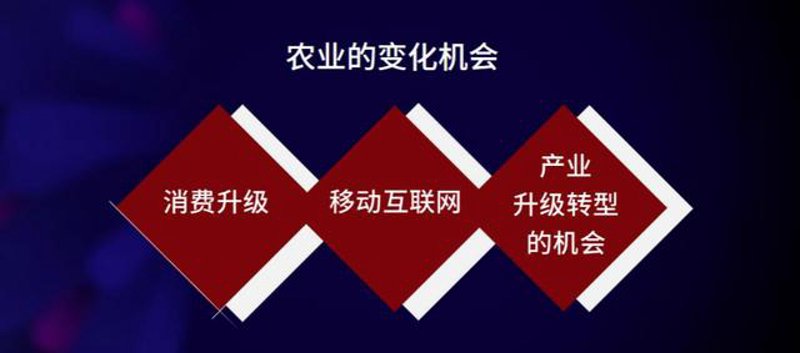 数字化浪潮下农牧企业的新篇章